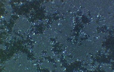 ferro-inducida.jpg